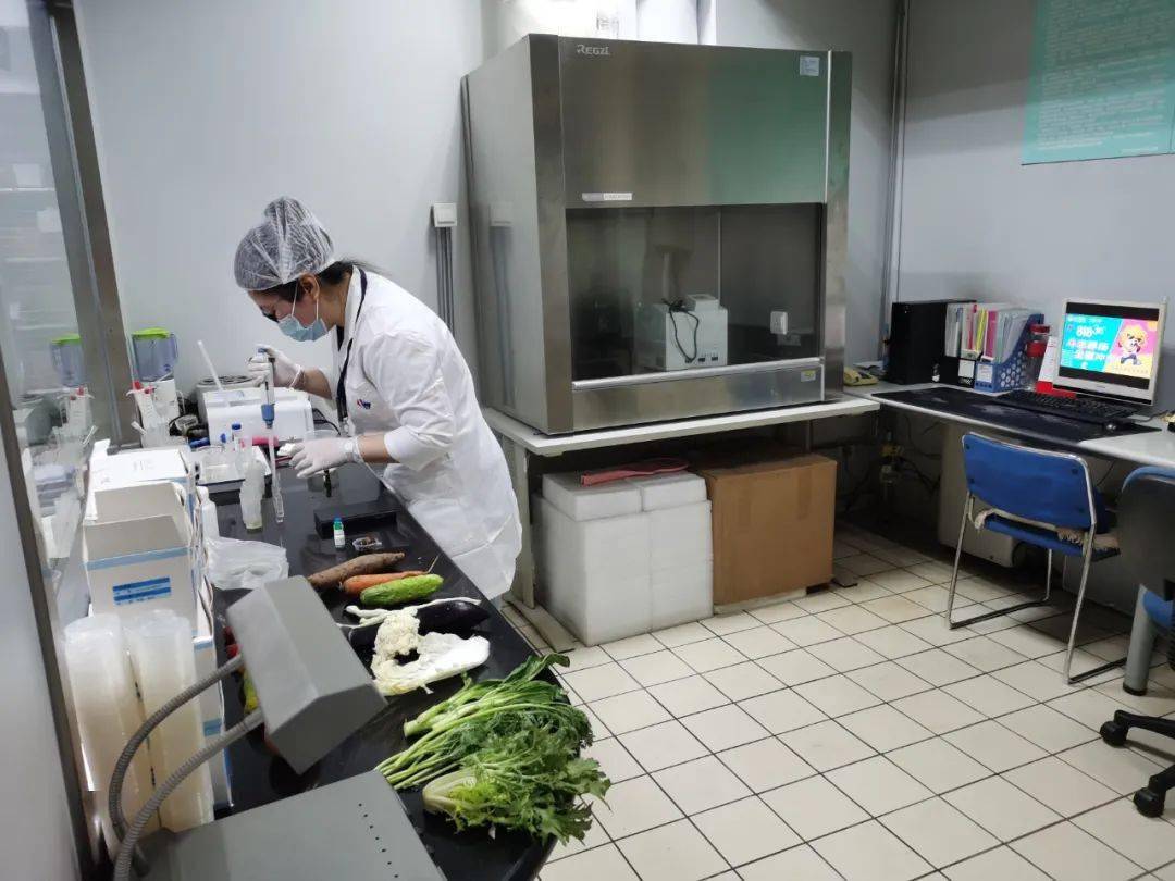 洛宁食品检测实验室装修方案